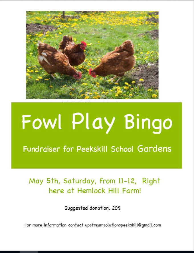 Hemlock Hill Fowl Play Bingo Flyer